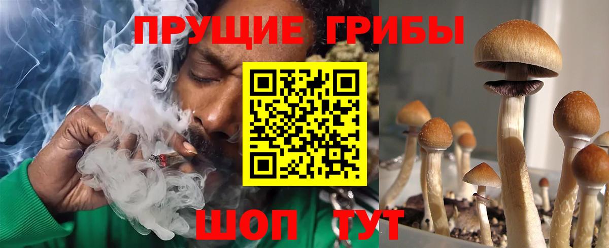 Топки  Галлюциногенные грибы Cubensis  Галлюциногенные грибы GOLDEN TEACHER  Вход с VPN 